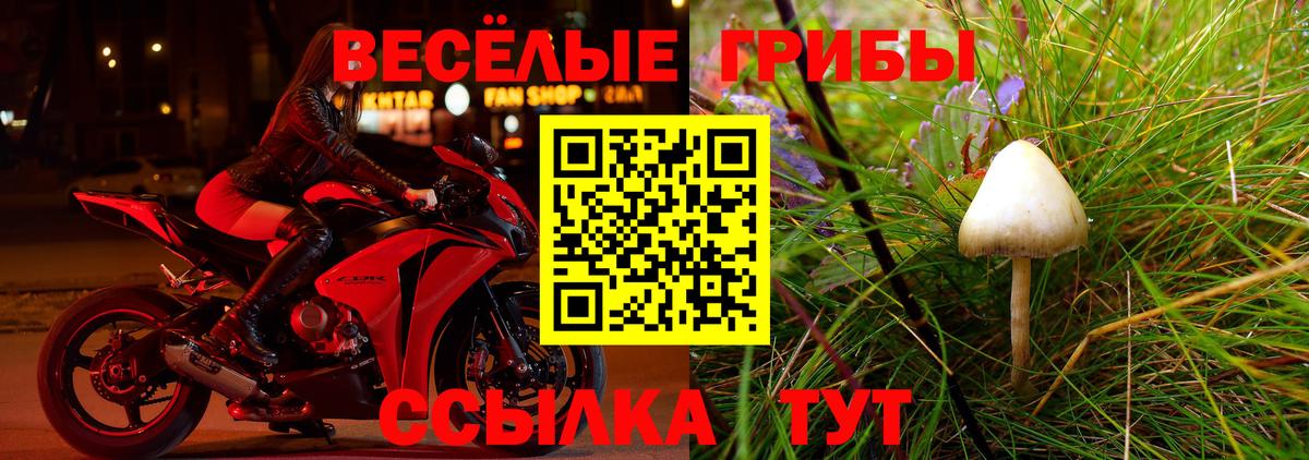 Псилоцибиновые грибы мицелий  Псилоцибиновые грибы GOLDEN TEACHER  Вход с VPN  Ликино-Дулёво 